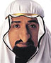 Halloween Costumes FA142 Men Sheik Fagin Nose
