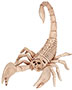 Halloween Costumes SE18214 Boys Morris  Scorpion Skeleton