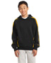 Sport-Tek® YST265 Boys Sleeve Stripe Pullover Hooded Sweatshirt