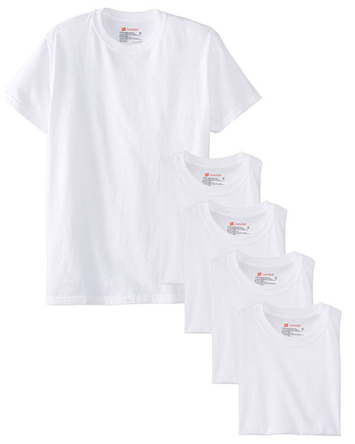 Hanes 5280 Unisex 5.2 Oz. Comfort Soft Cotton T-Shirt 5-Pack at GotApparel