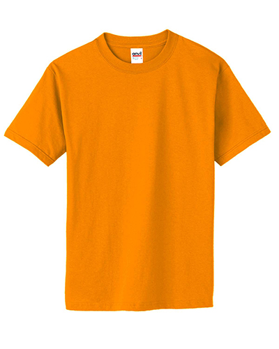 Anvil OR428 Women Organic T-Shirt at GotApparel