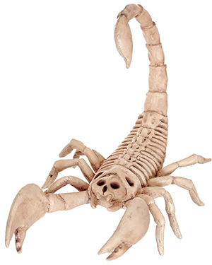 Halloween Costumes SE18214 Boys Morris  Scorpion Skeleton at GotApparel