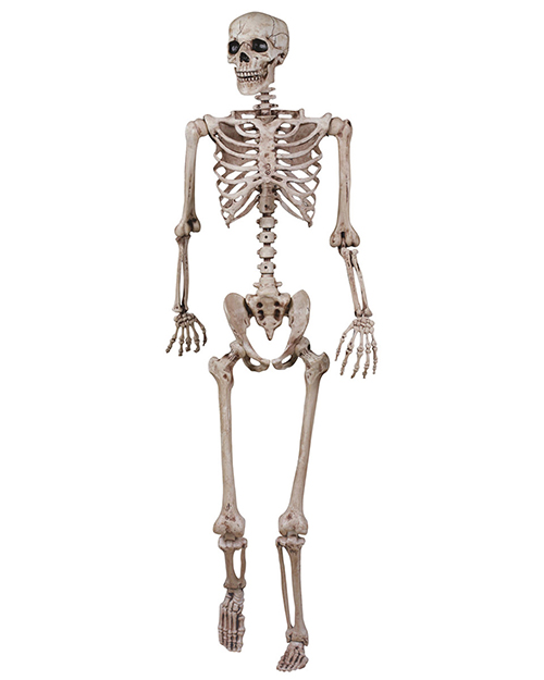 Halloween Costumes SE18724 Unisex   Skeleton Poseable at GotApparel