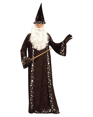 Halloween Costumes FM59474 Men Morris  Wizard Hat And Robe at GotApparel