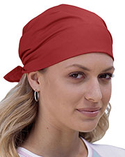 Big Accessories / BAGedge BA001 Unisex Solid Bandana at GotApparel
