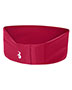 Badger 301 Unisex Wide Headband