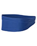 Badger 301 Unisex Wide Headband