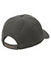 Carhartt Cotton Canvas Cap CT103938