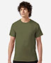 Fresh Olive