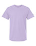 Urban Lilac