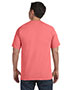 Comfort Colors C1717 Unisex Ringspun Garment-Dyed Tee
