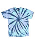 Dyenomite 200TD Men Rainbow Cut-Spiral Tie-Dyed T-Shirt