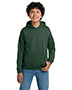Fan Dark Green