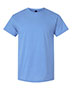 Carolina Blue