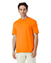 Safety Orange