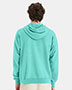 Hanes GDH450 Unisex Garment-Dyed Fleece Hoodie
