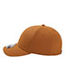 Buckthorn Brown