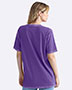 Next Level 3600SW Unisex Soft Wash T-Shirt