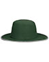 Dark Green/Silver