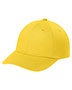 Sunflower Yellow