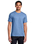 Carolina Blue Heather