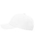 Richardson 254RE  Ashland Recycled Dad Hat