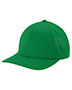 True Kelly Green