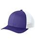 Purple/ White