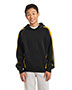 Sport-Tek® YST265 Boys Sleeve Stripe Pullover Hooded Sweatshirt