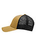 Chino Vegas Gold/ Black