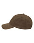 Pigment Brown