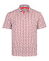 Swannies Golf SW9900 Men's Erick Polo