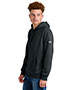 The North Face NF0A8AU0 Sleeve Logo Pullover Hoodie