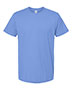 Carolina Blue