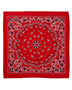 Red Paisley