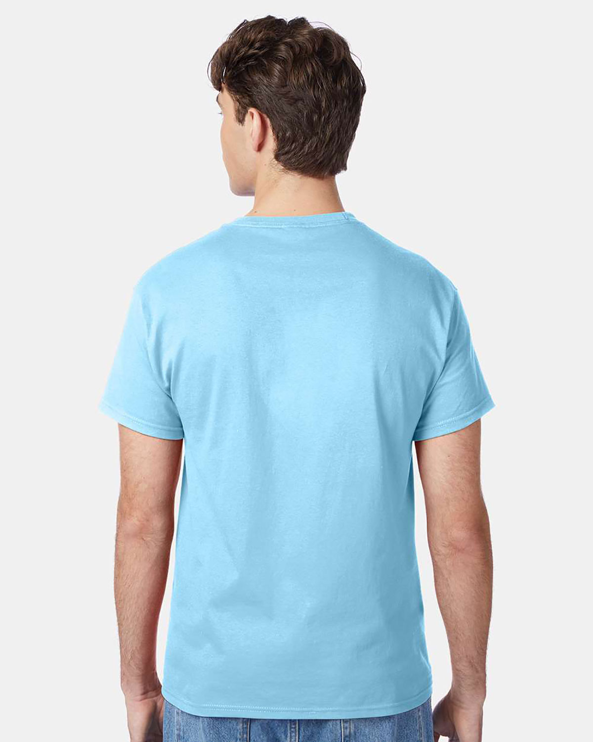 Hanes 5250T Men 6.1 Oz. Tagless T-Shirt view 2