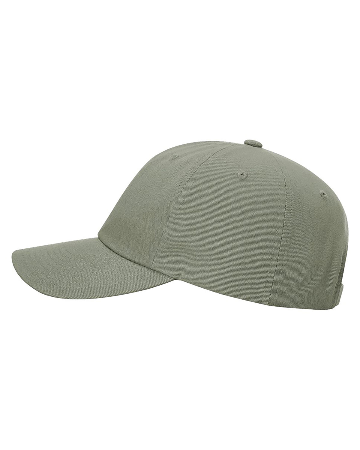 Richardson 254RE Sustainable Ashland Dad Hat view 3