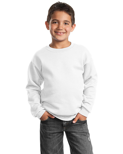 Port & Company PC90Y Boys Crewneck Sweatshirt at GotApparel