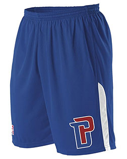Detroit Pistons product color