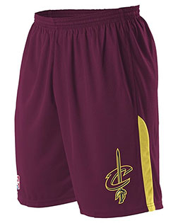 Alleson Athletic A205LY Boys Youth NBA Logo'd Game Shorts at GotApparel