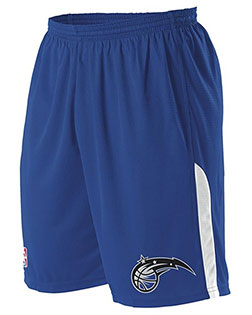 Alleson Athletic A205LY Boys Youth NBA Logo'd Game Shorts at GotApparel