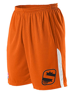 Alleson Athletic A205LY Boys Youth NBA Logo'd Game Shorts at GotApparel