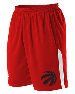 Alleson Athletic A205LY Boys Youth NBA Logo'd Game Shorts at GotApparel