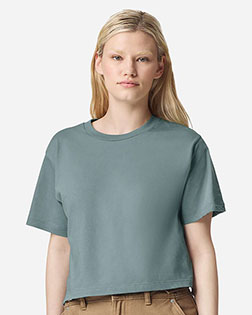 Arctic product color