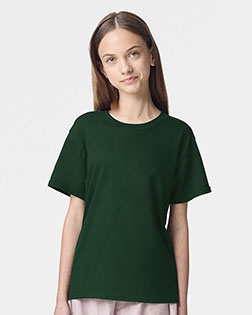 Forest product color