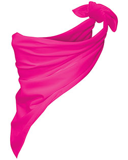 Augusta Sportswear 2221 Bandana at GotApparel