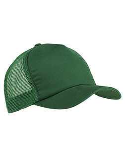 Forest product color
