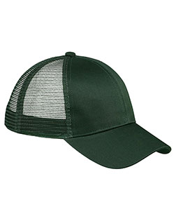 Light Forest product color