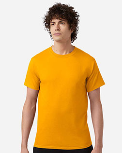 C Gold product color