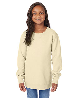 ComfortWash by Hanes GDH475 Youth Fleece Sweatshirt at GotApparel